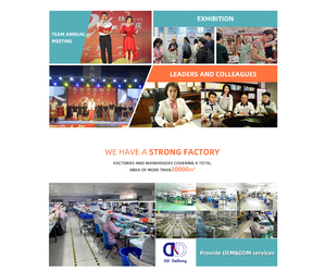Китай Qingdao Dadong Electronics Co., Ltd.
